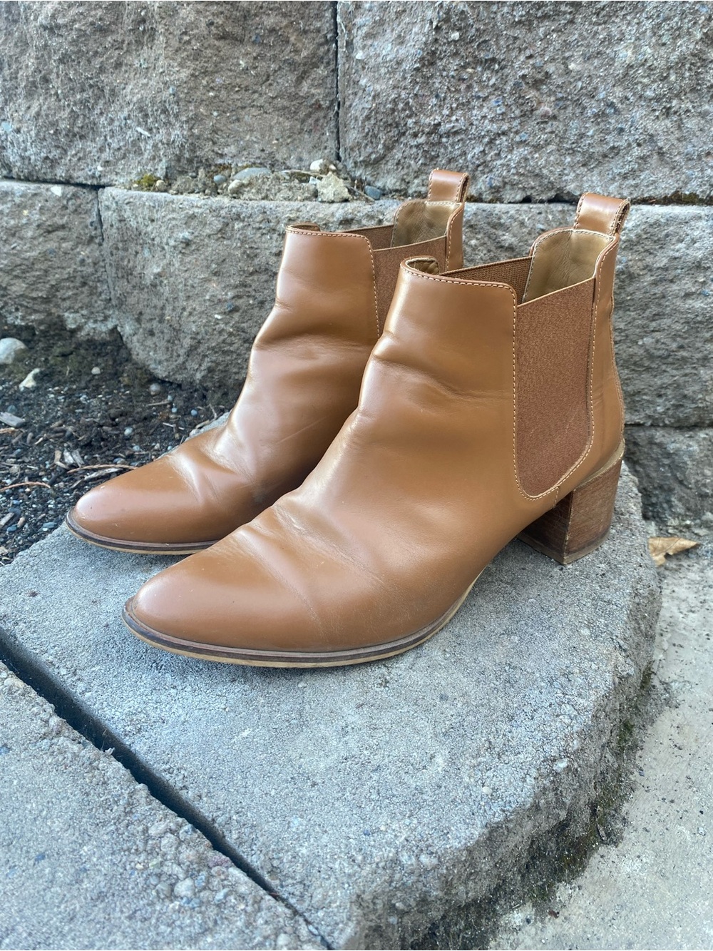 Everlane cognac Italian leather boot